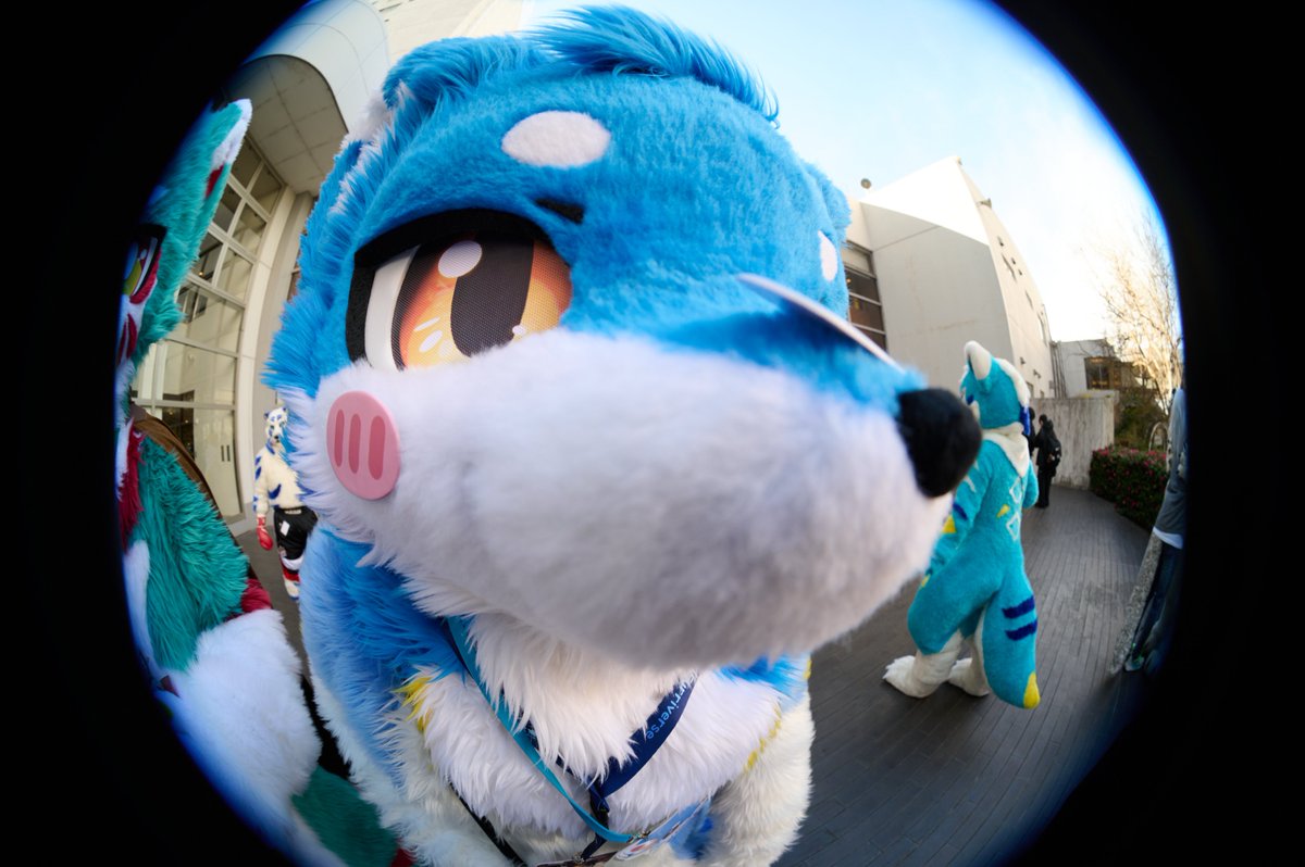 Lag_8_8's tweet photo. #Fursuit #FursuitFriday #JOMF
이거 머에여??
📸 : @_f0x15 https://t.co/lxOMozYCw5
