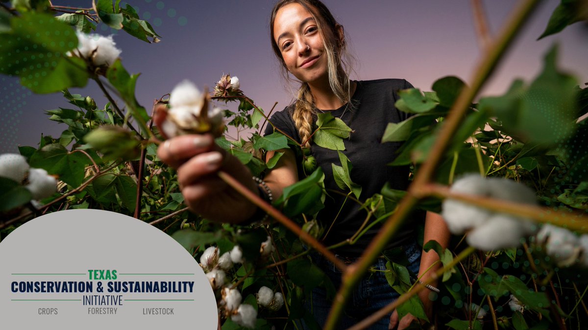 Texas Conservation and Sustainability Initiative tweet media