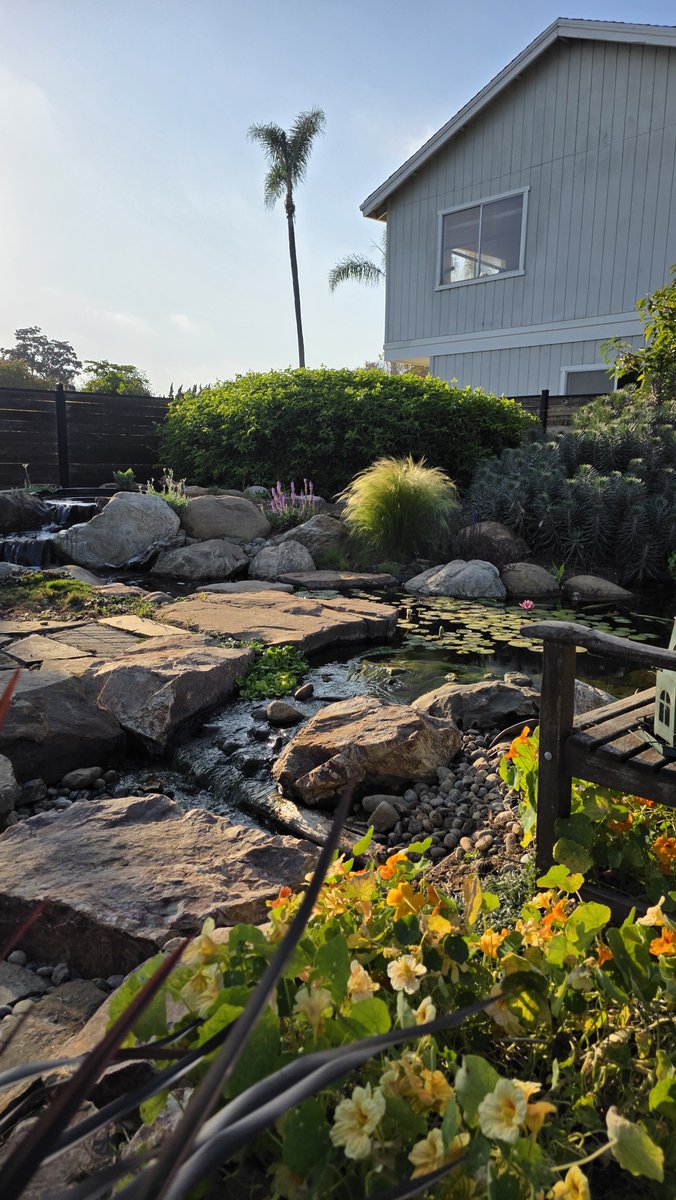 Kevin → Plant Daddy tweet media