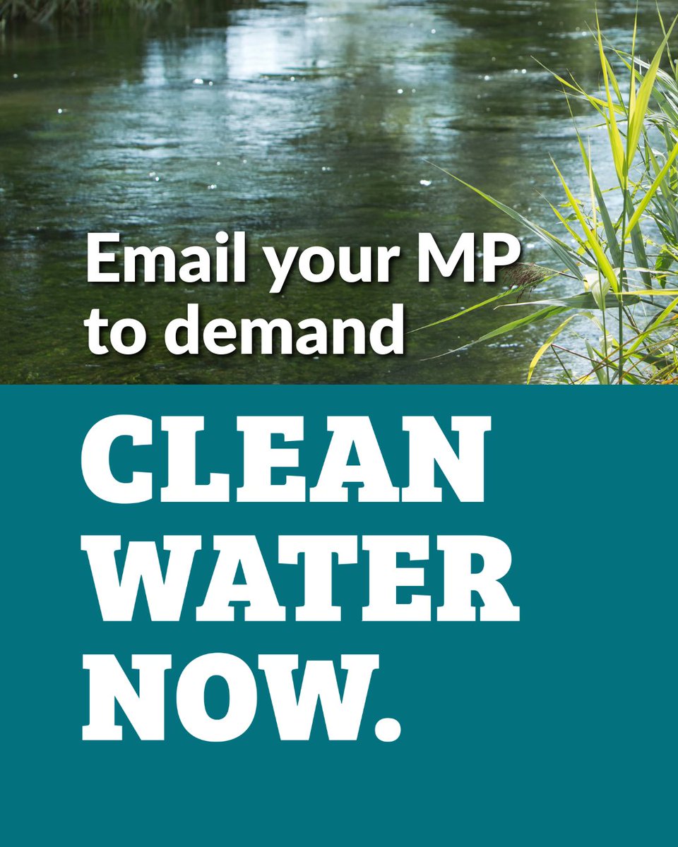 Zero Hour @zero-hour.bsky.social tweet media