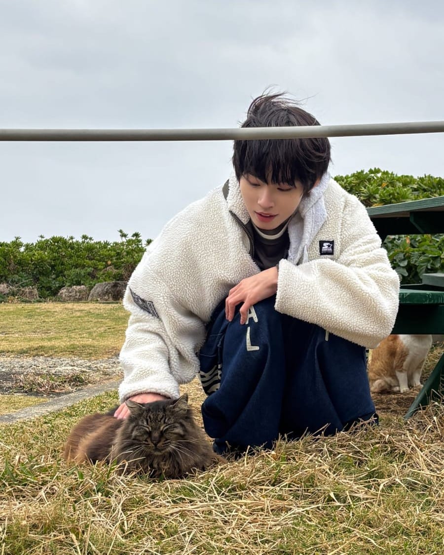 Sendal•Kipli 🐋 tweet media