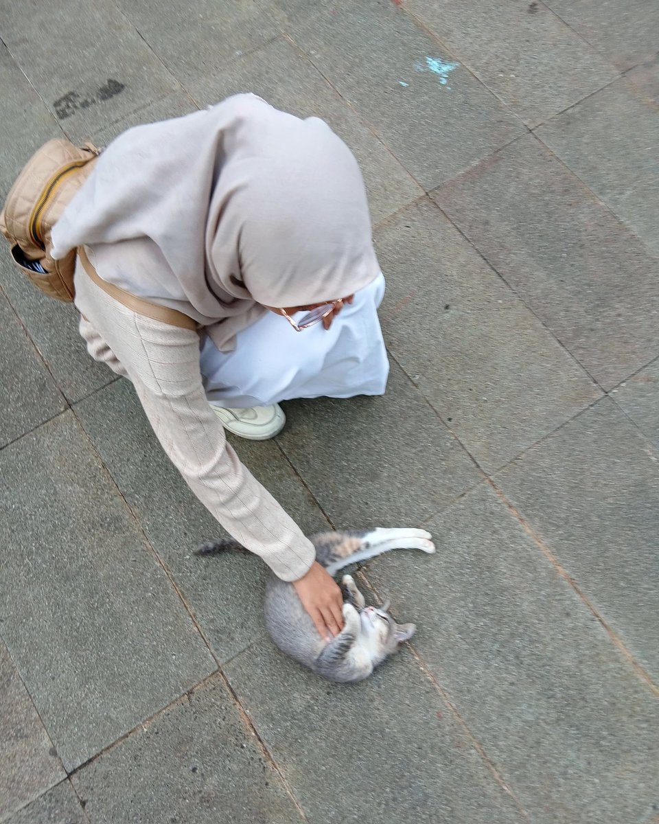 Sendal•Kipli 🐋 tweet media