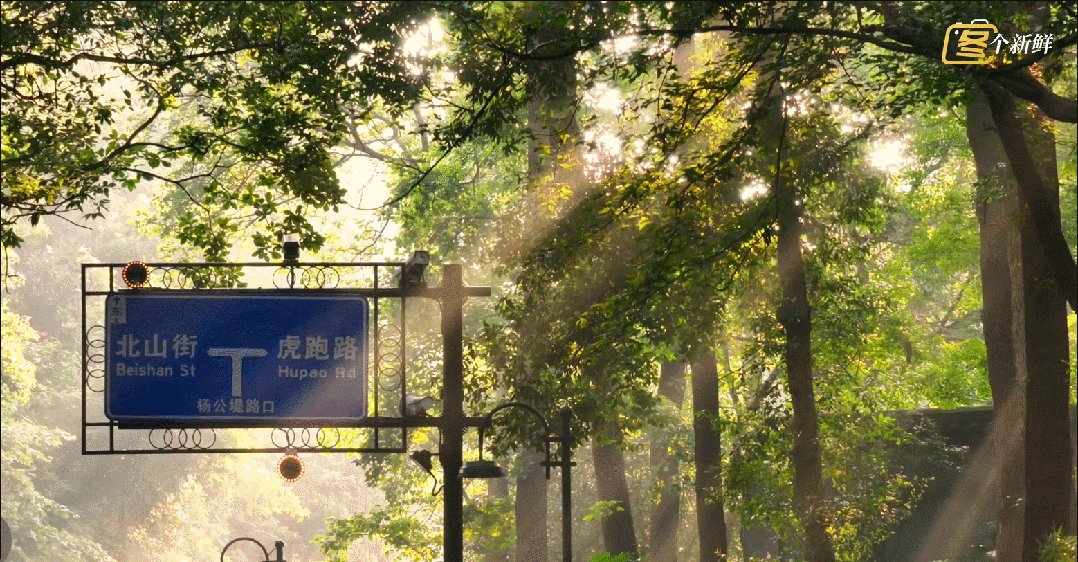 Victor Saldanha tweet media