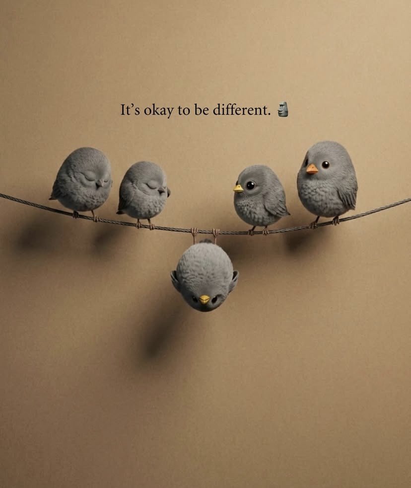 🌸 Kimberley 🌸 tweet media