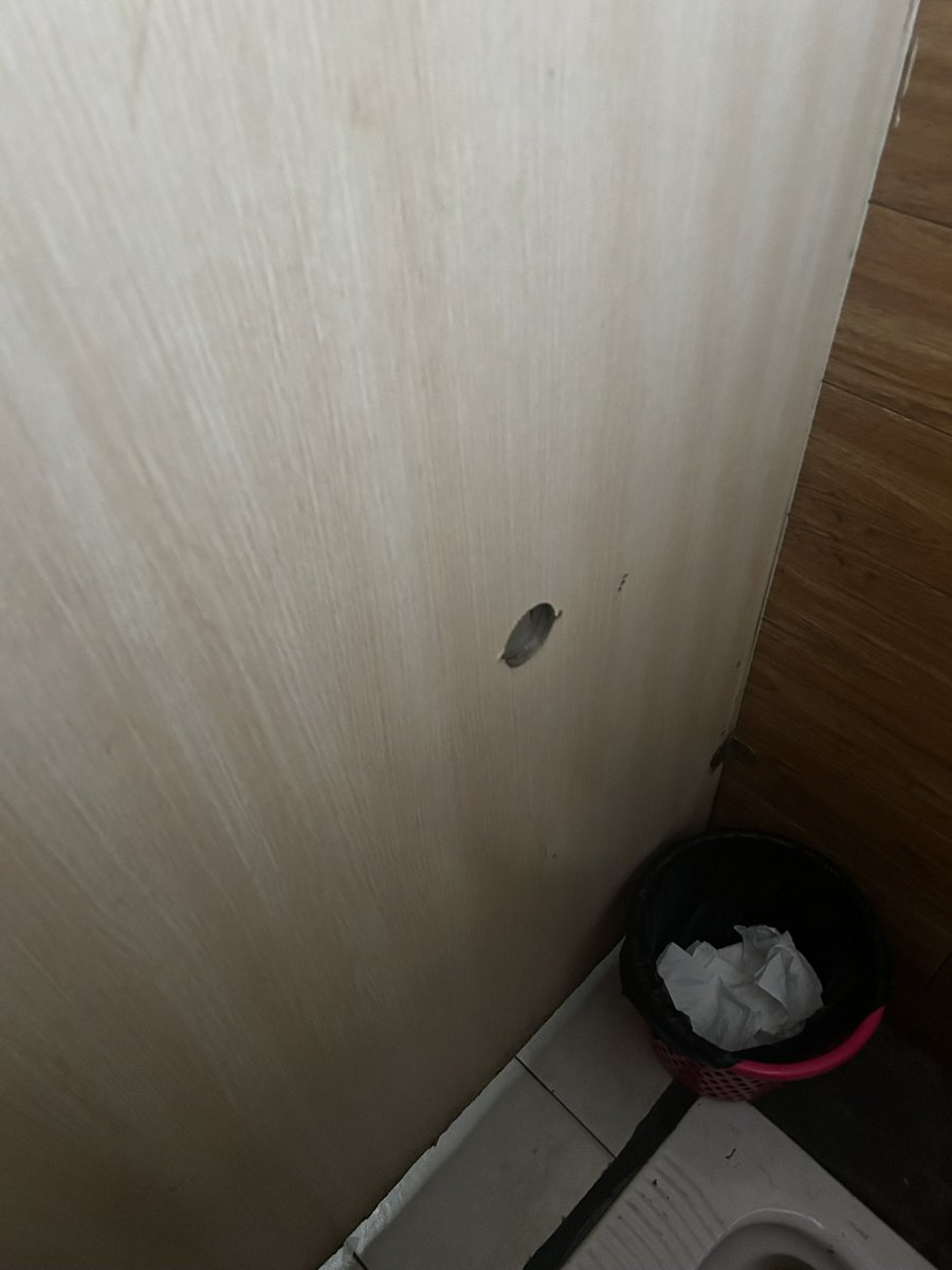 小萌大仙 tweet media