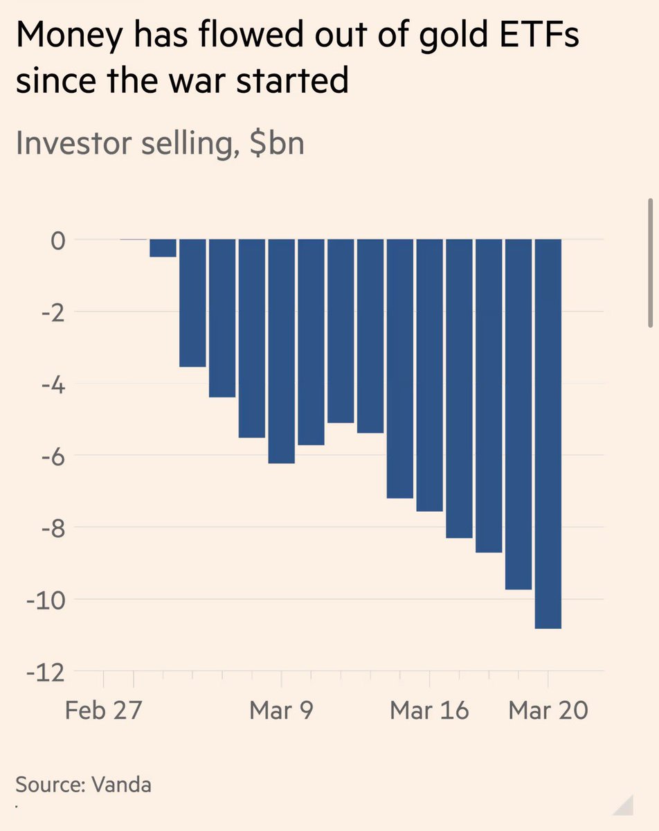 Ebru Usta tweet media