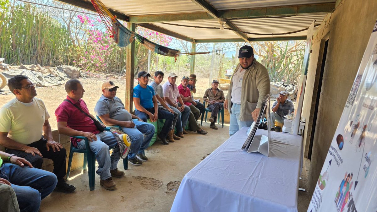 IICA - El Salvador tweet media