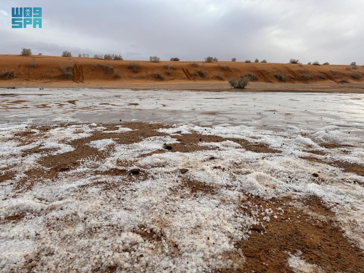 صحيفة الجزيرة tweet media