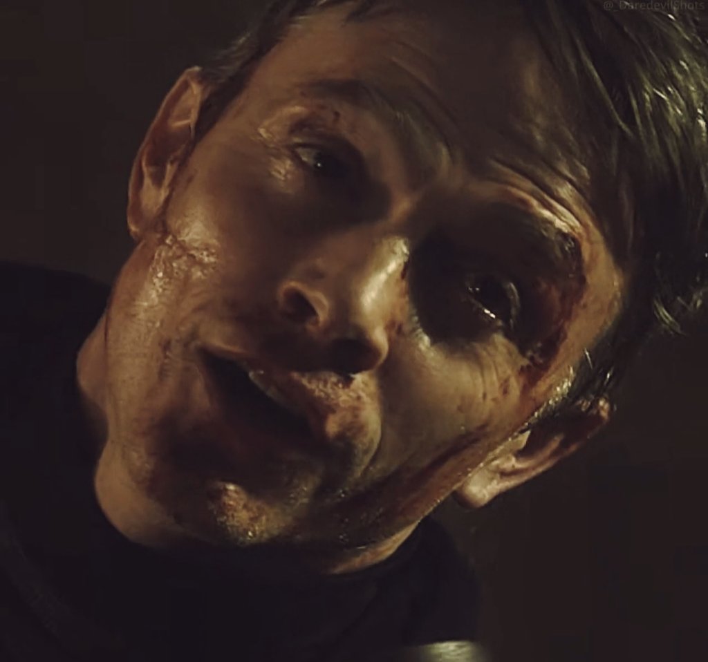 Lady Bullseye 🎯 tweet media