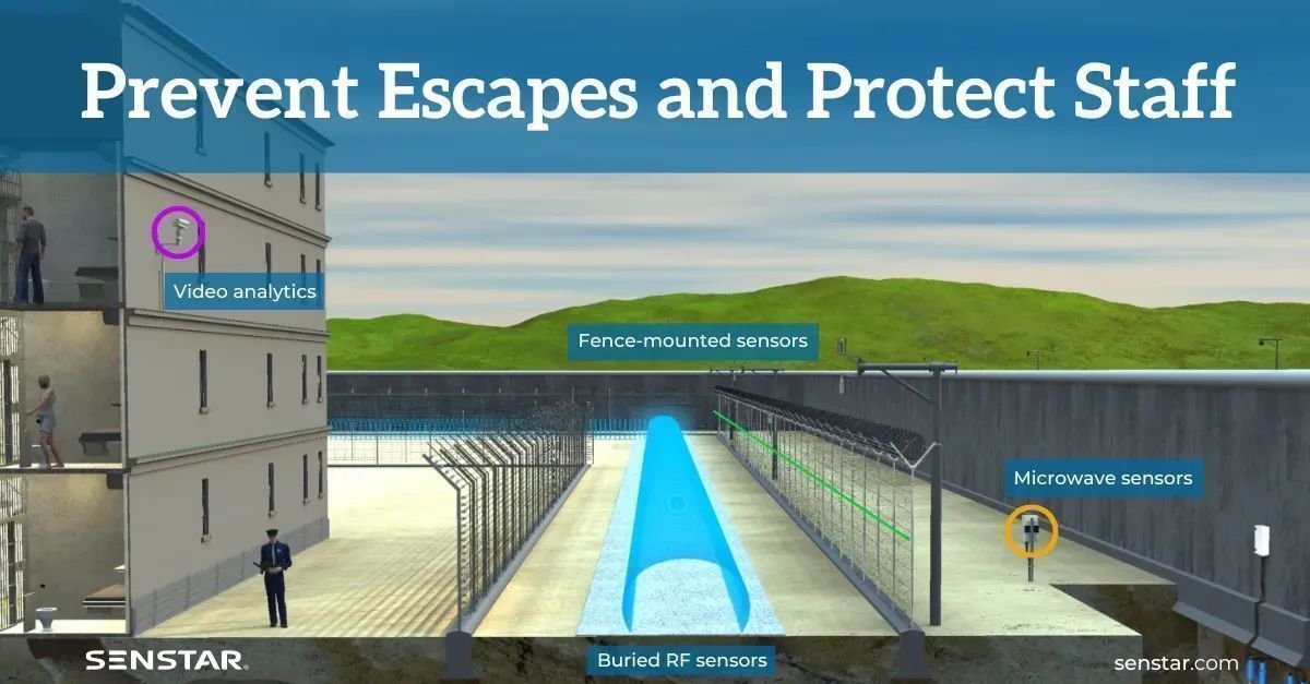 Senstar Corporation tweet media