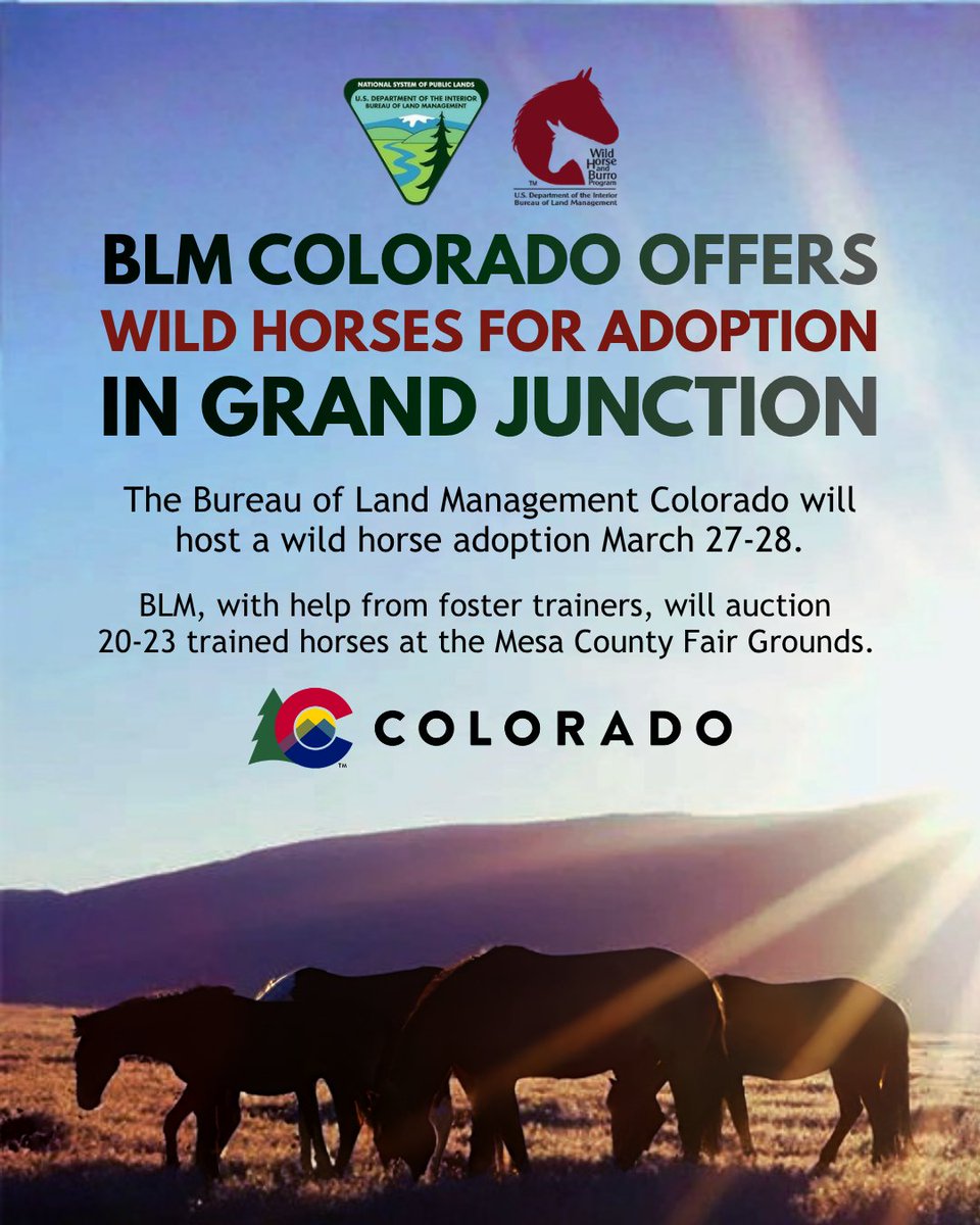 Governor Jared Polis tweet media