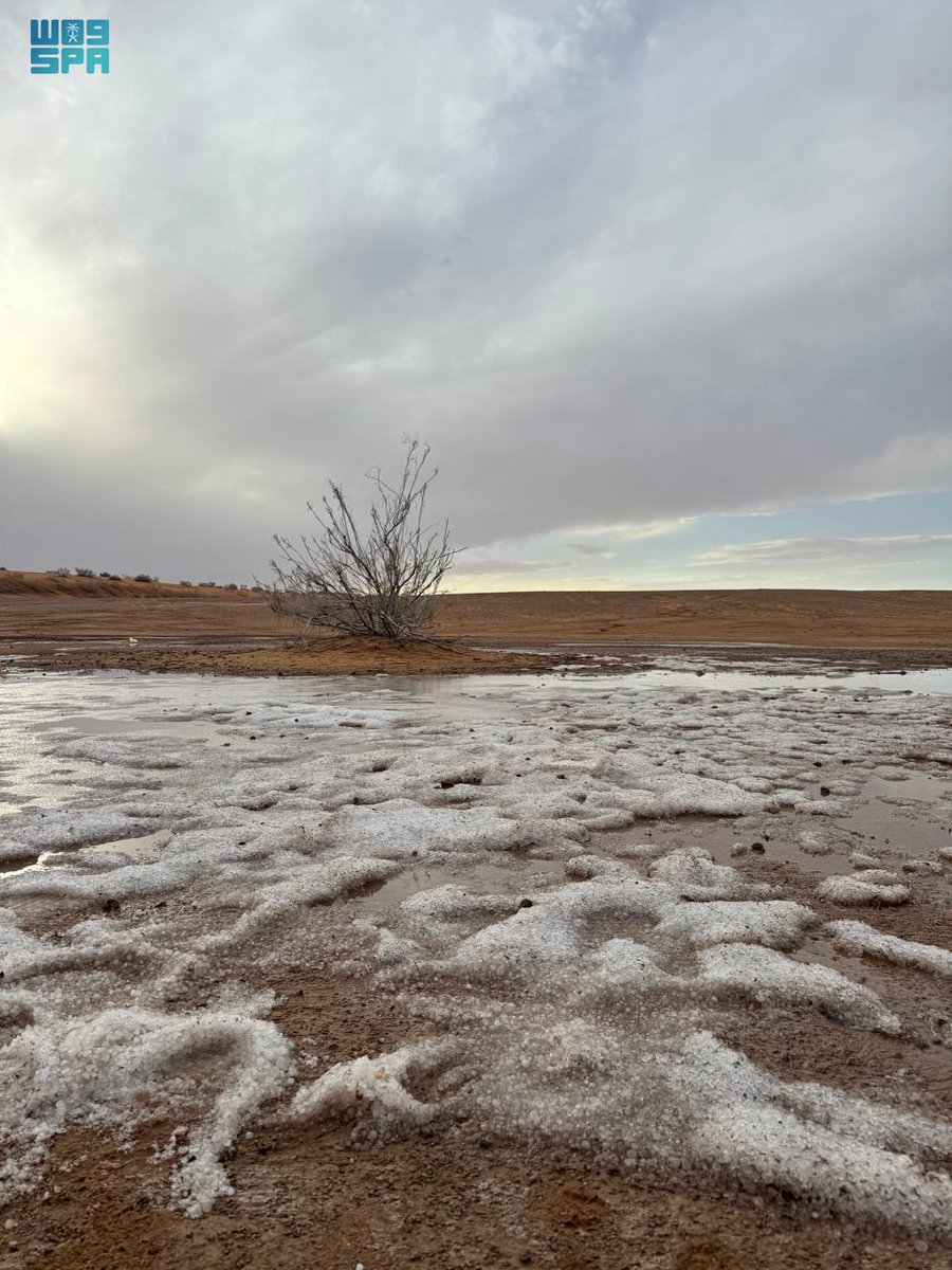 صحيفة الجزيرة tweet media