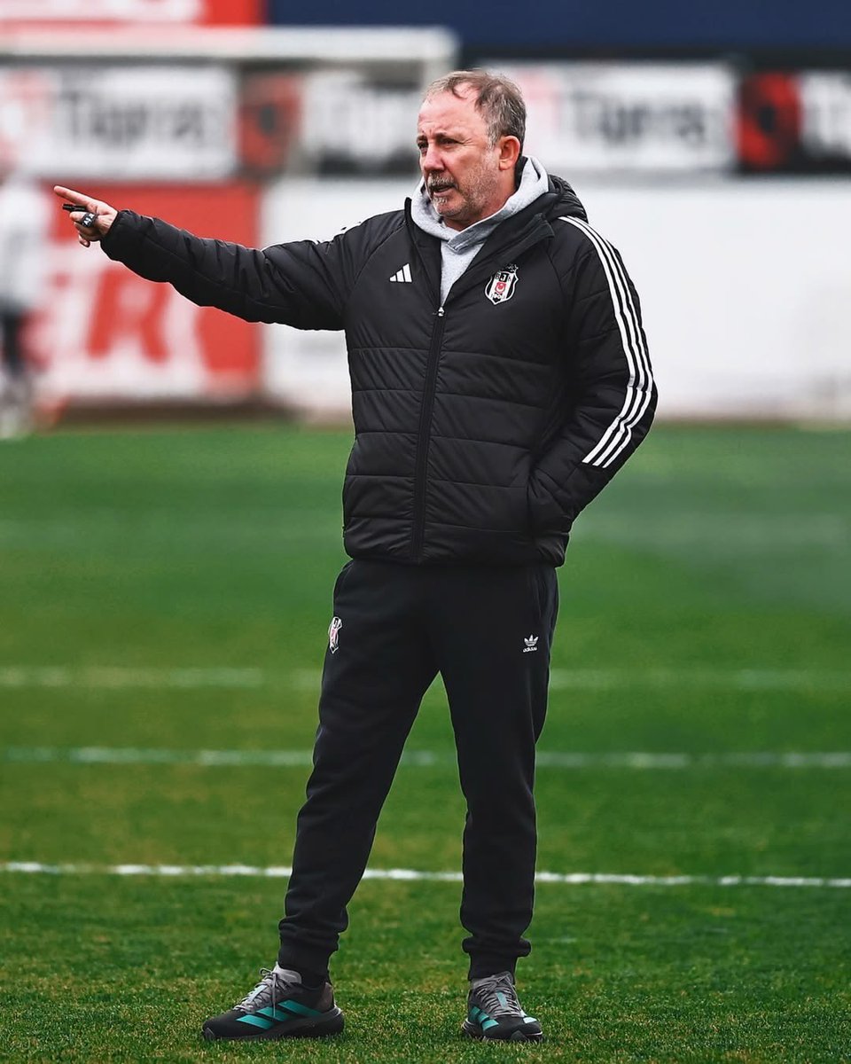 Ağaçlı Yol tweet media