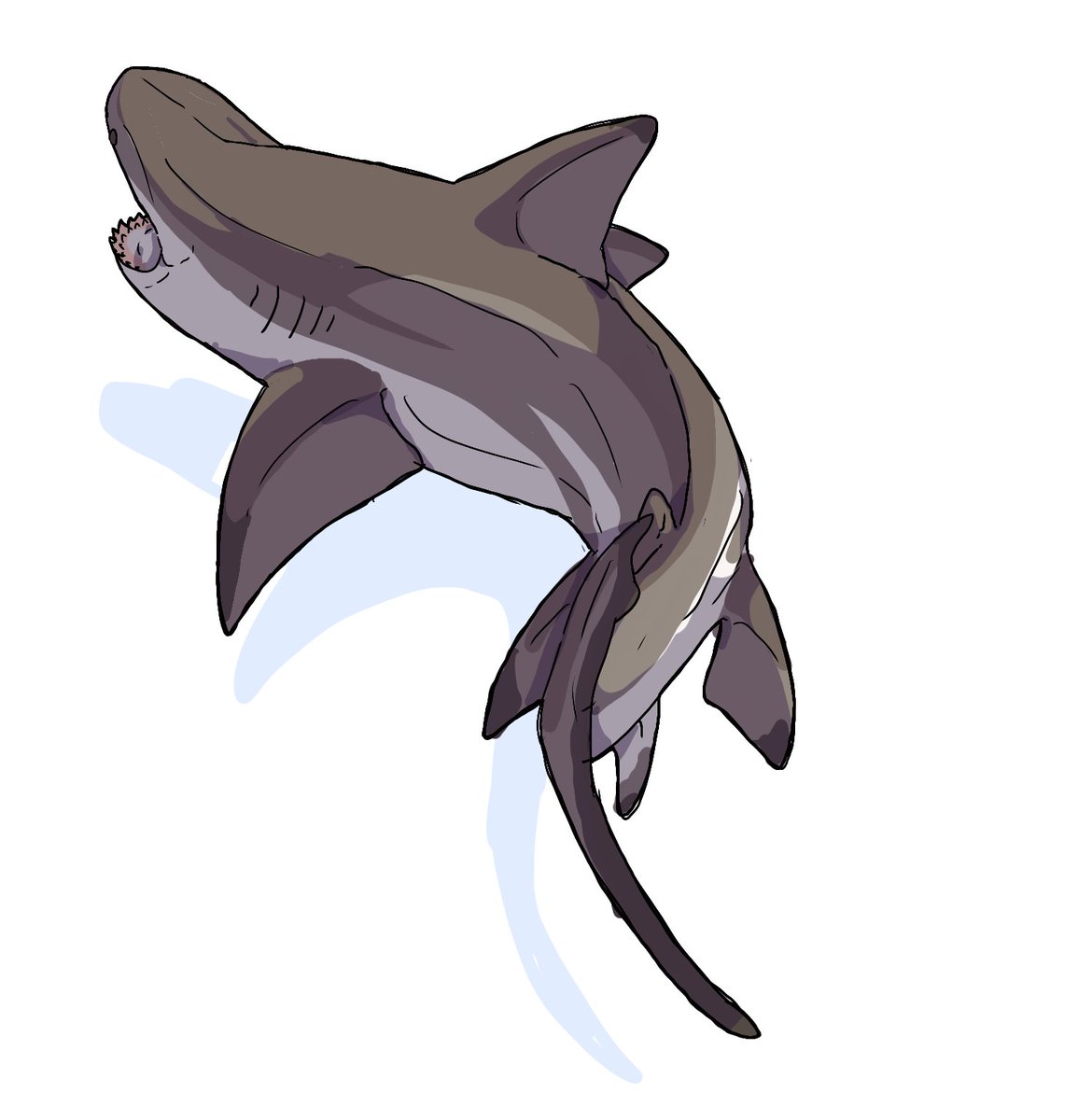 Howard roland tweet media