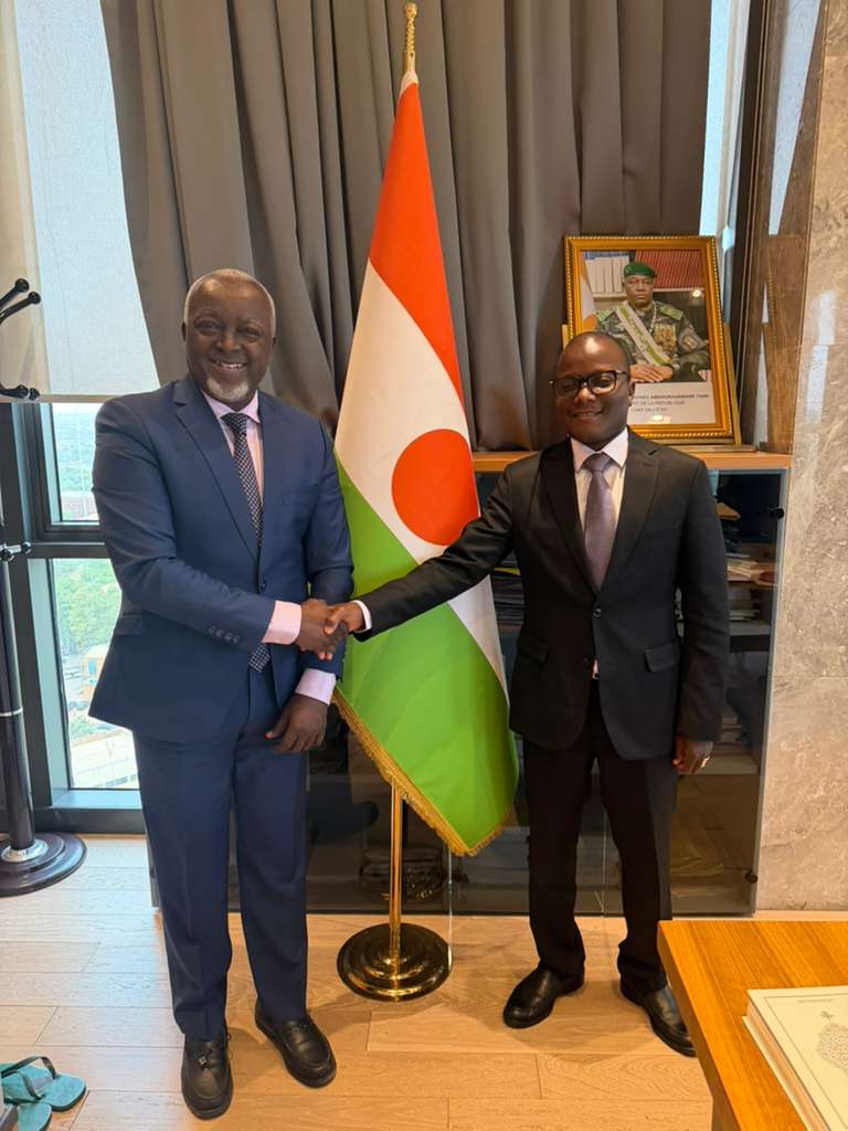 PNUD Niger tweet media