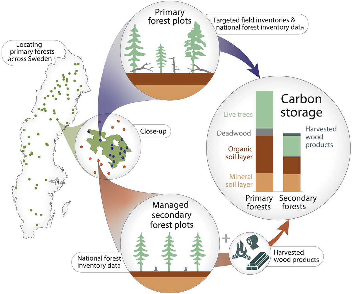Science Magazine tweet media
