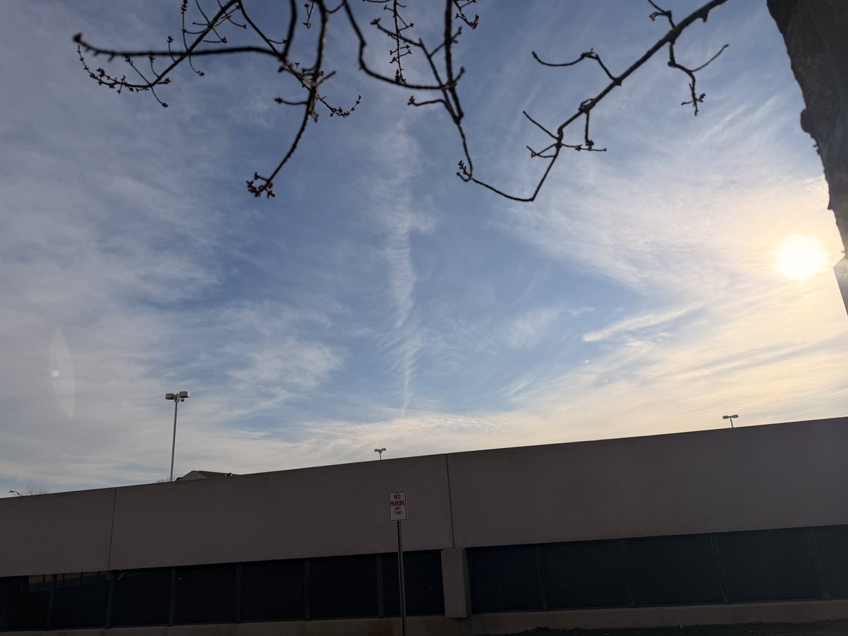 FelonHusky's tweet photo. Dear President Netanyahu....I mean Trump. Please focus on the daily poisoning of the American people by the government your are allegedly in control of rather than being Israel's BITCH. Thank you for your attention to this matter.  Pictures are from 3/25 morning and afternoon https://t.co/ptVzRWDAWc