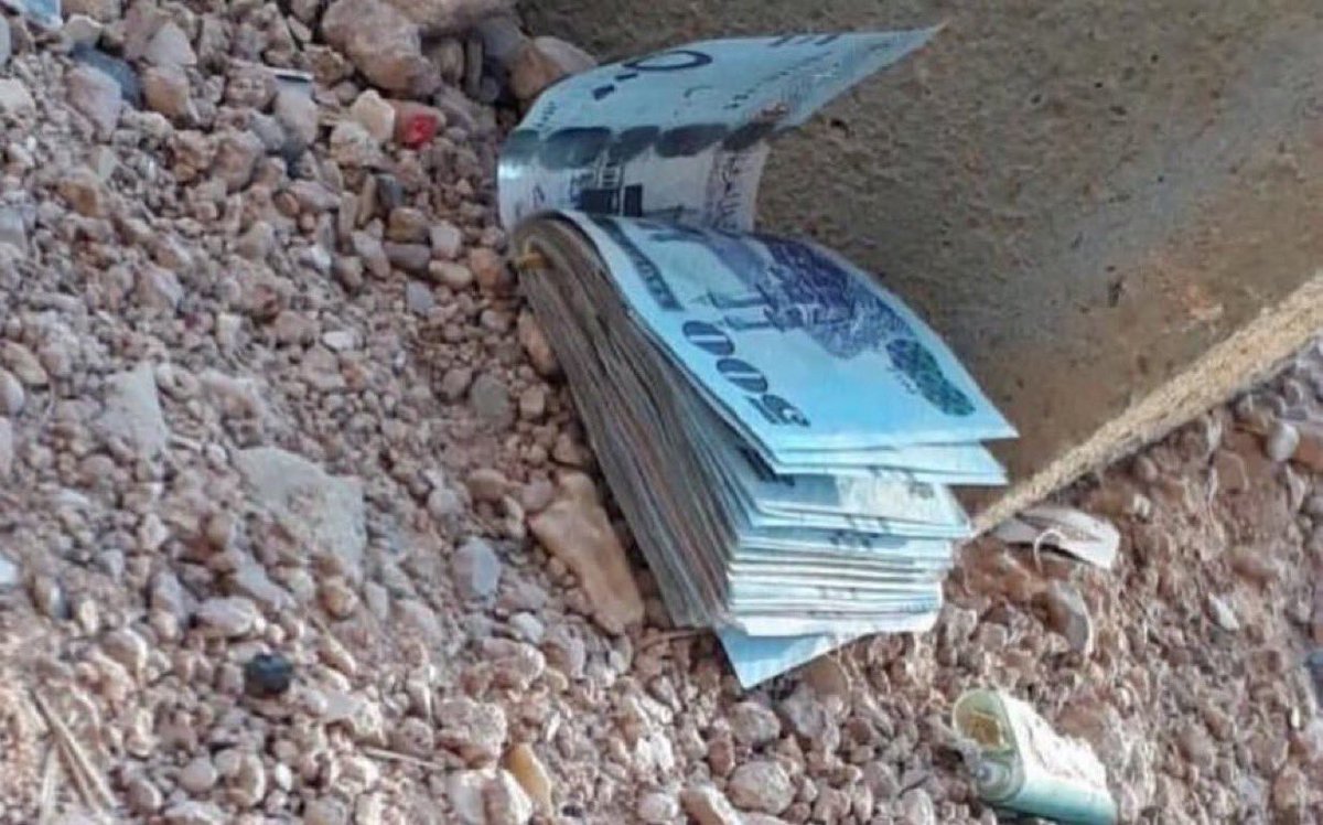 سقراط🌟 tweet media