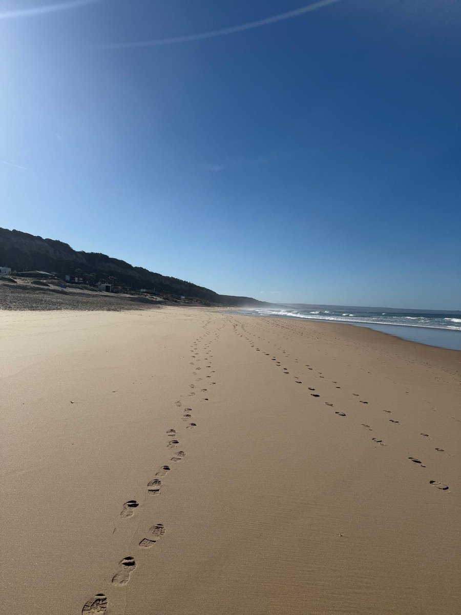 Iblockbots tweet media