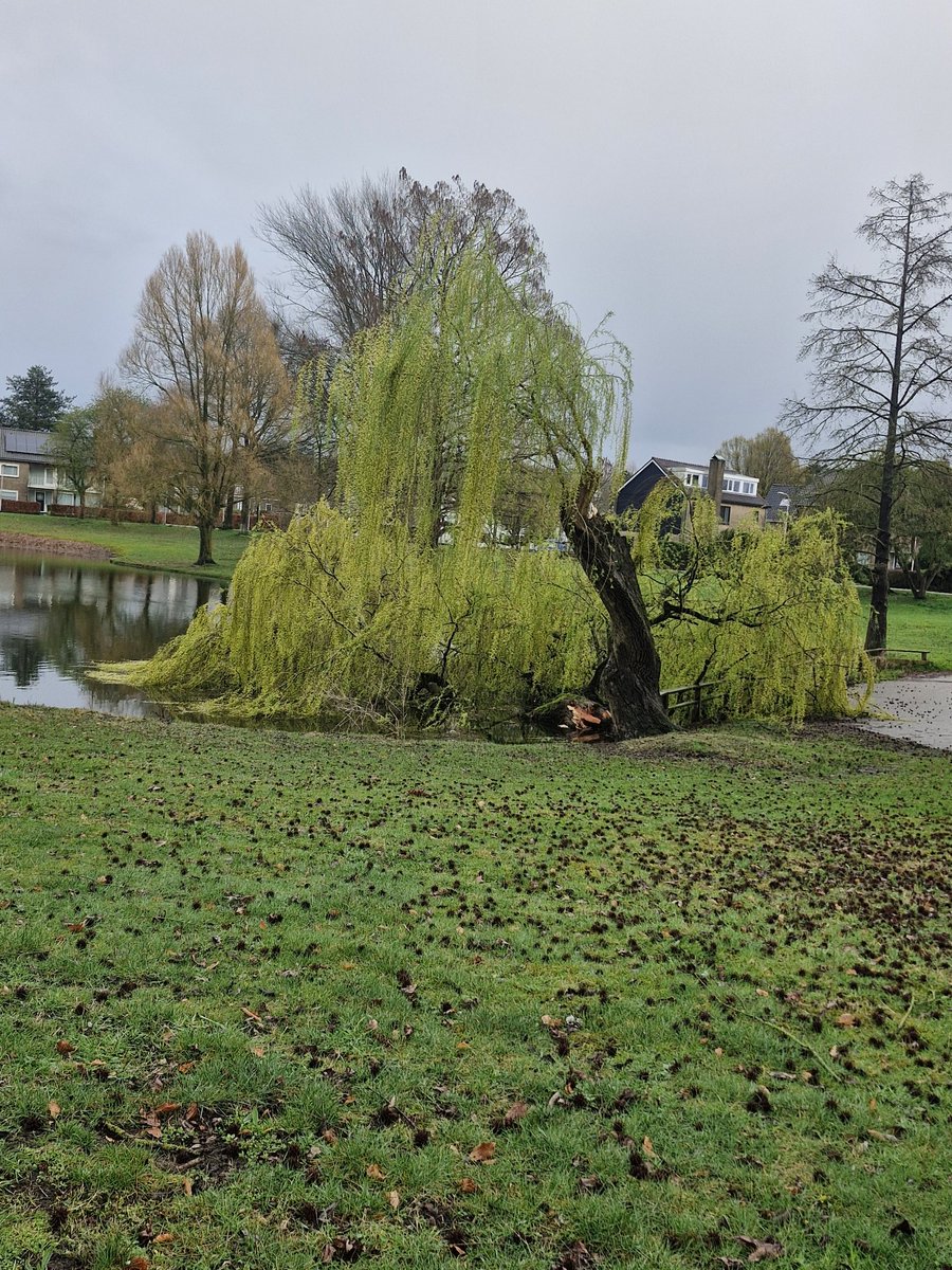 Kayleigh ˙ᵕ˙ tweet media