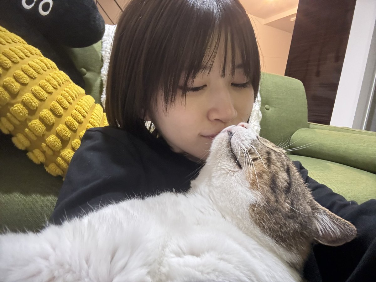 新榮有理 tweet media