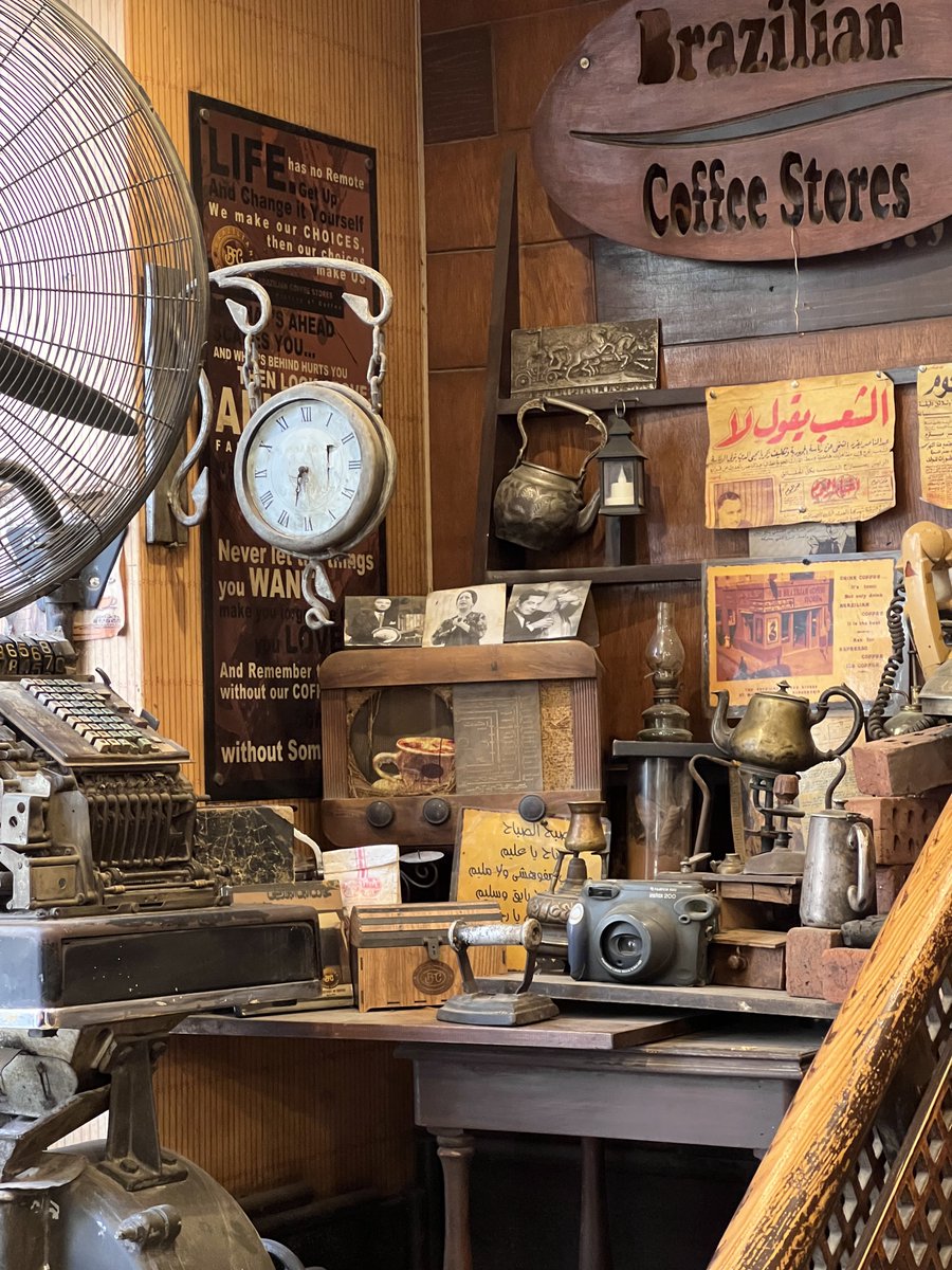 اسكندرية - Alexandria tweet media