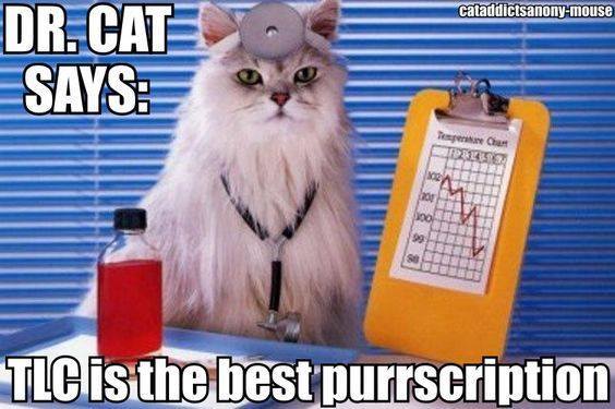 Diana ✞🔥 ✞🔥 ✞ tweet media