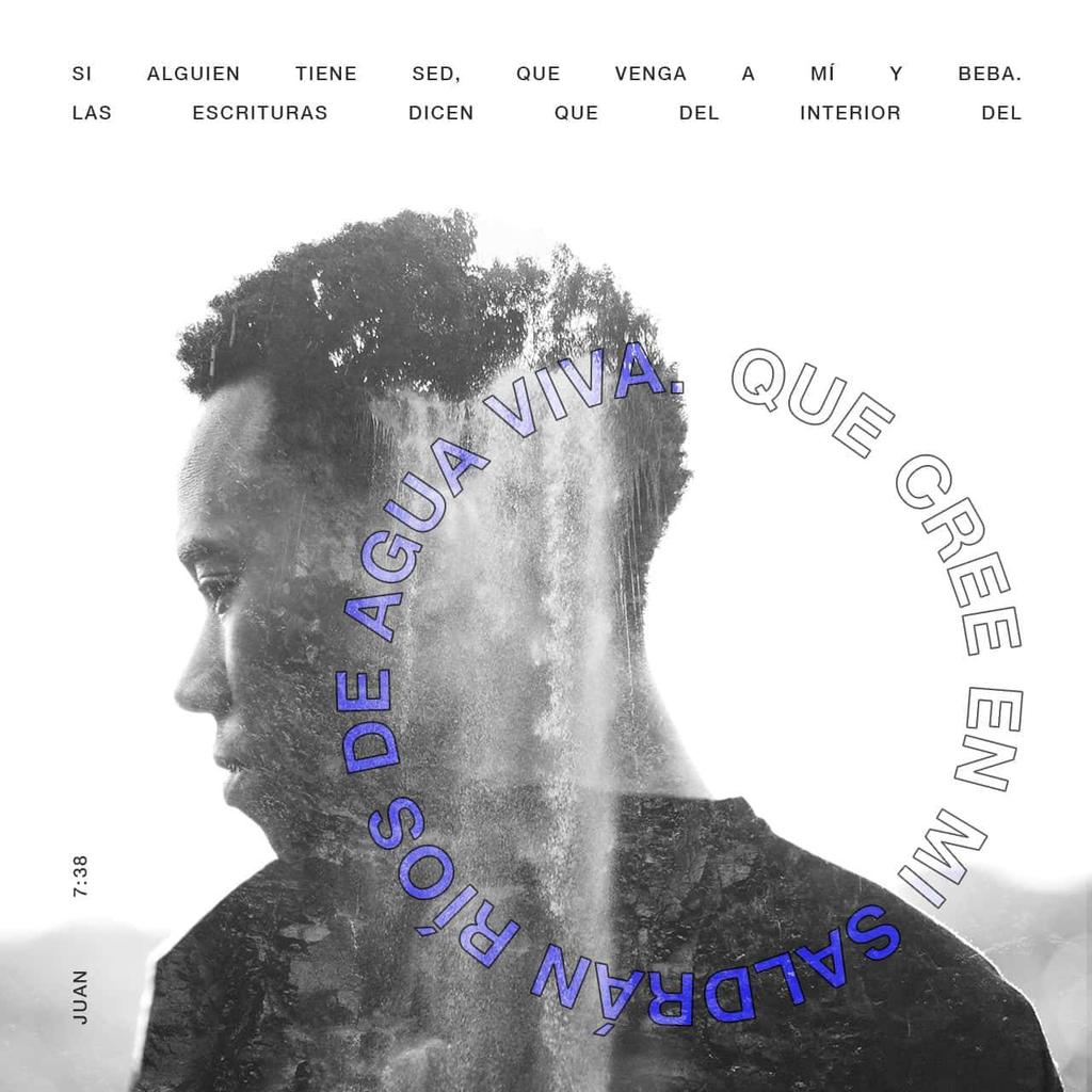 Memo Herrera tweet media