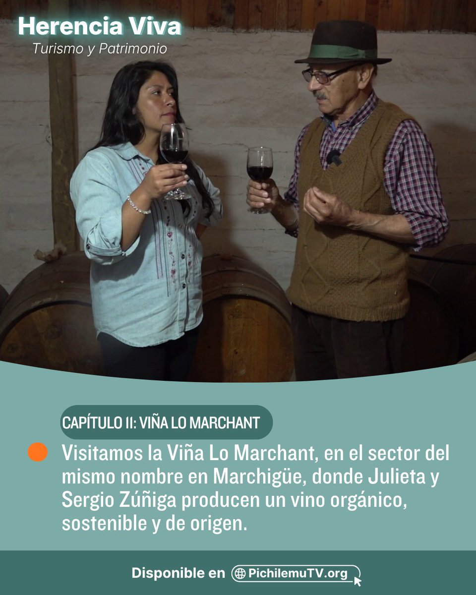 🟢En el úndecimo episodio de Herencia Viva estuvimos en Lo Marchant, Marchigüe, para conocer un vino orgánico, sostenible y de origen producido en la Viña Lo Marchant por Sergio y Julieta Zúñiga: pichilemutv.org/e6qs