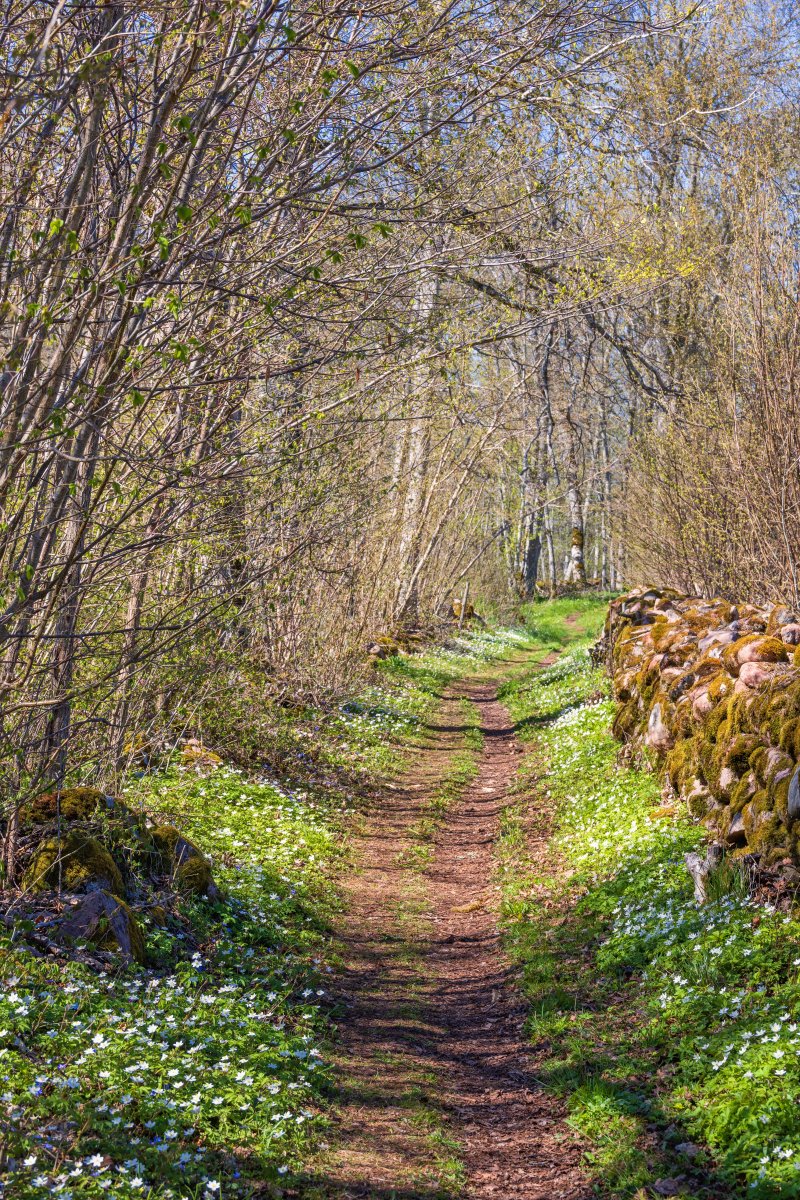 DJ Quinlan tweet media