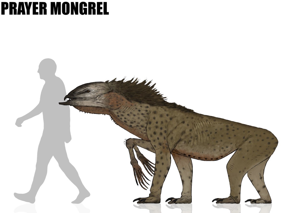 sam fart ಠ▃ಠ tweet media