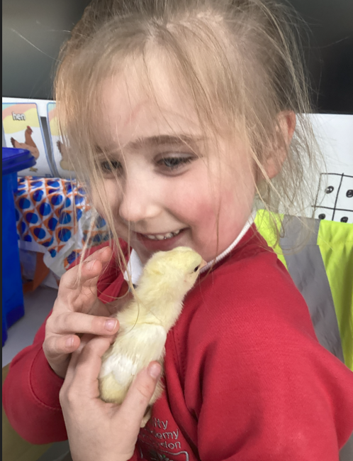 Trinity Academy Akroydon tweet media