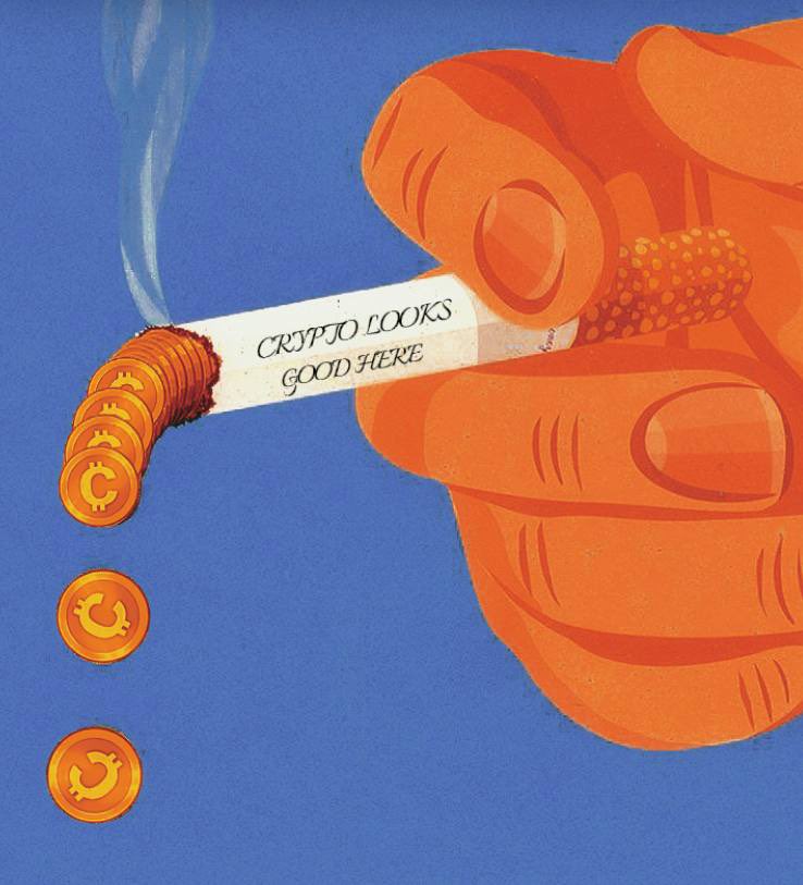 little 🐟 tweet media