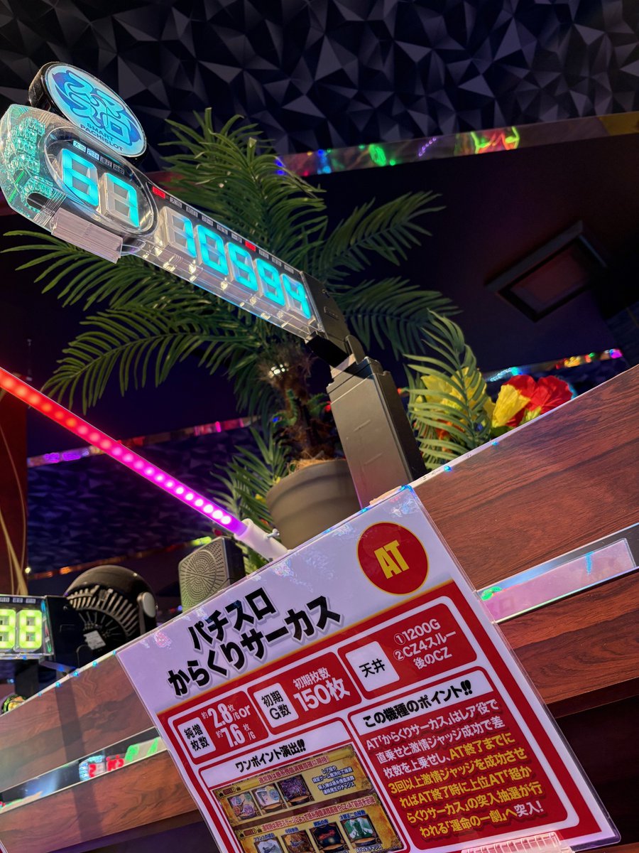 サンシャインNEXT一日橋🤩日々奮闘中~仲間が増えたYO tweet media