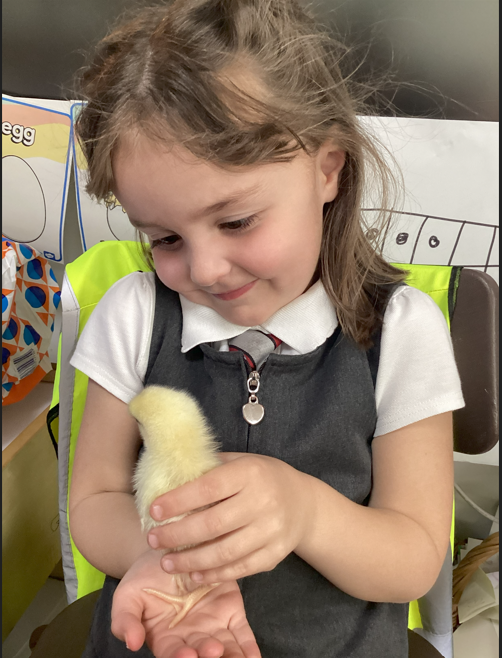 Trinity Academy Akroydon tweet media