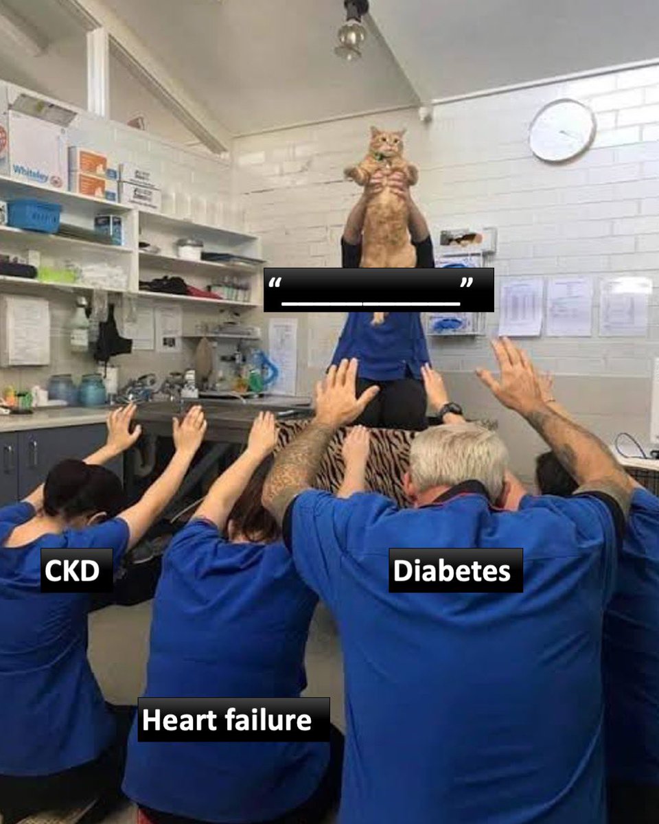 simplify_drugs's tweet image. Guess the med 🤔