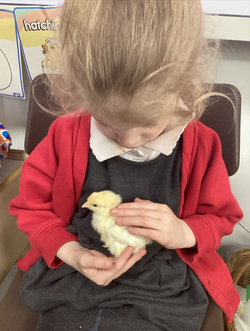 Trinity Academy Akroydon tweet media