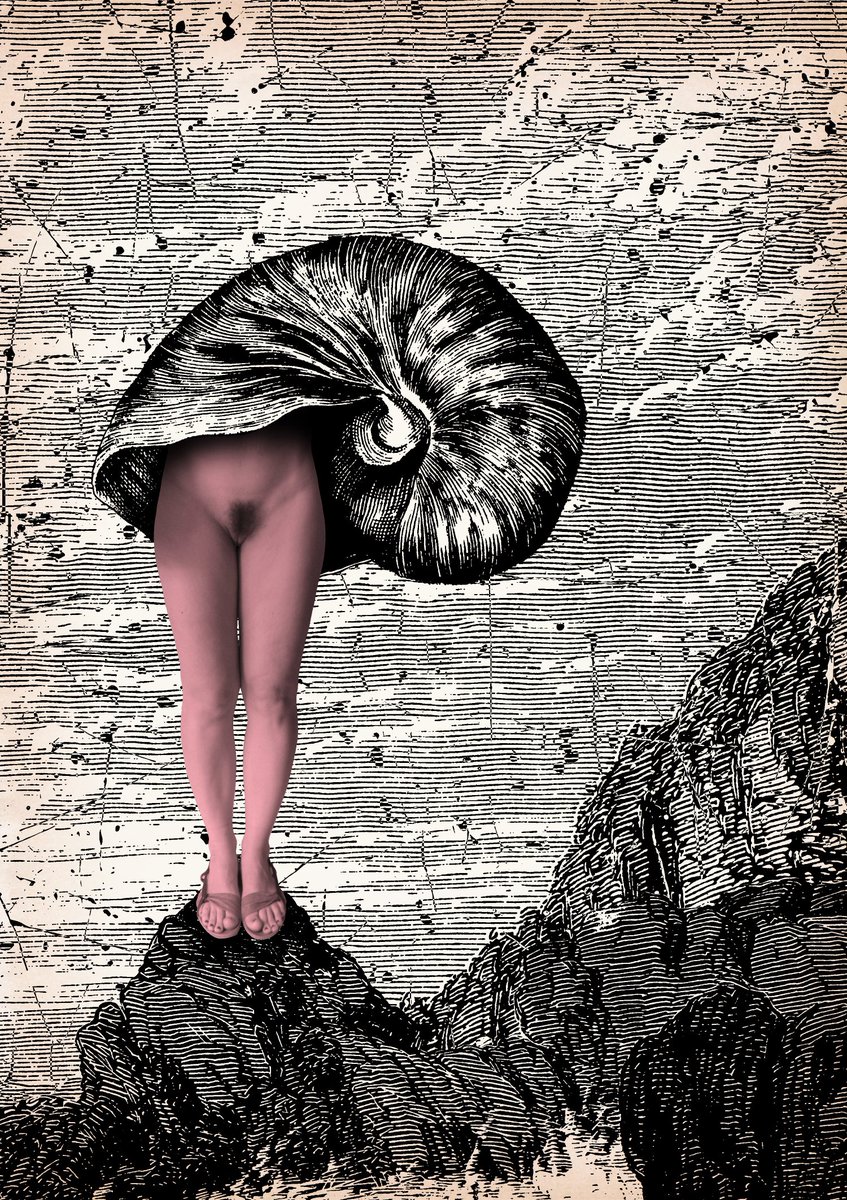 metafables's tweet photo. "The Siren" (2026)
© Andrew Blucha https://t.co/Q08sP72P6U
