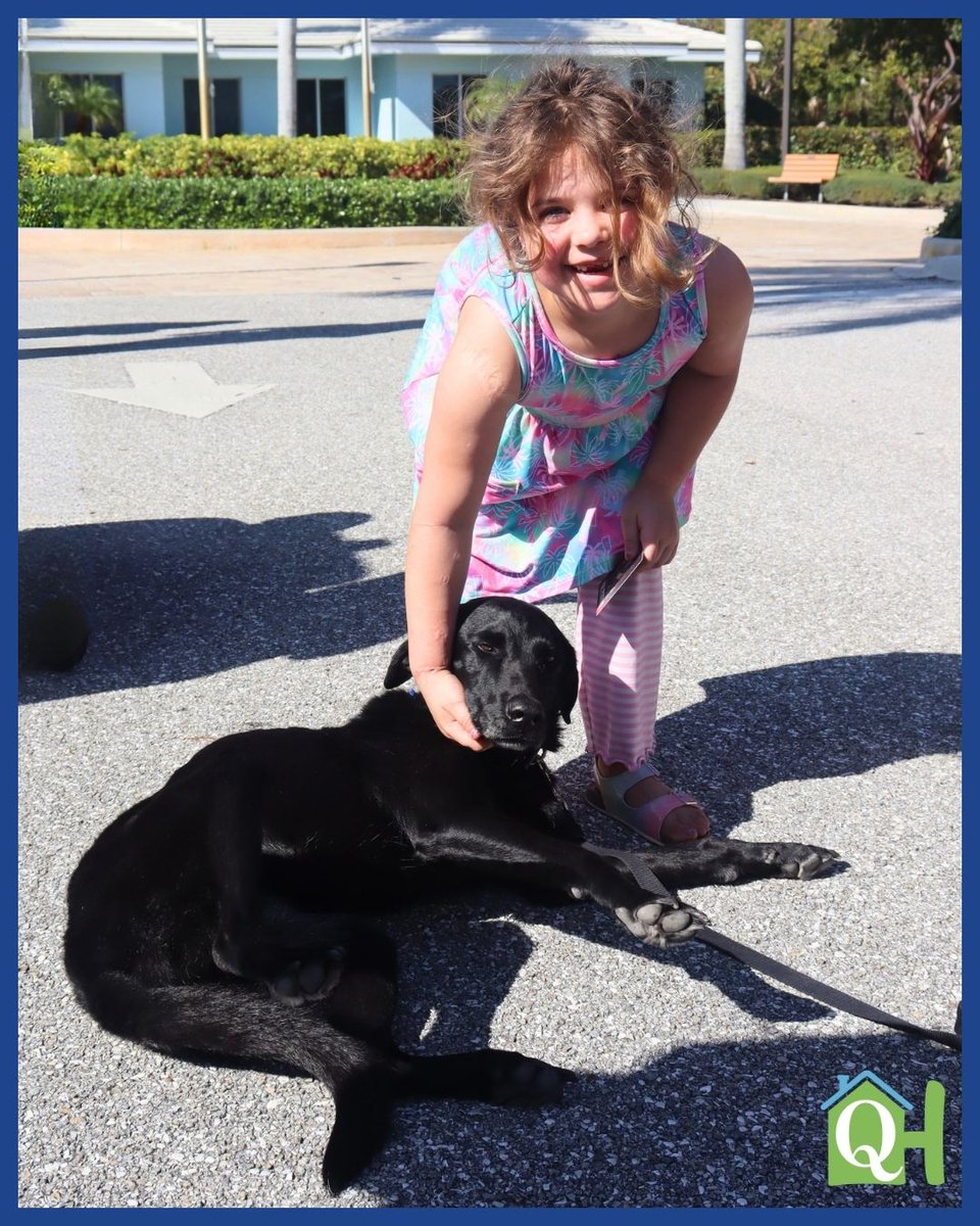 Quantum House tweet media