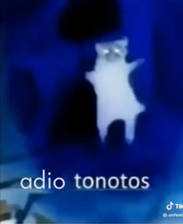 Vemii || Florian's Husbun || tweet media