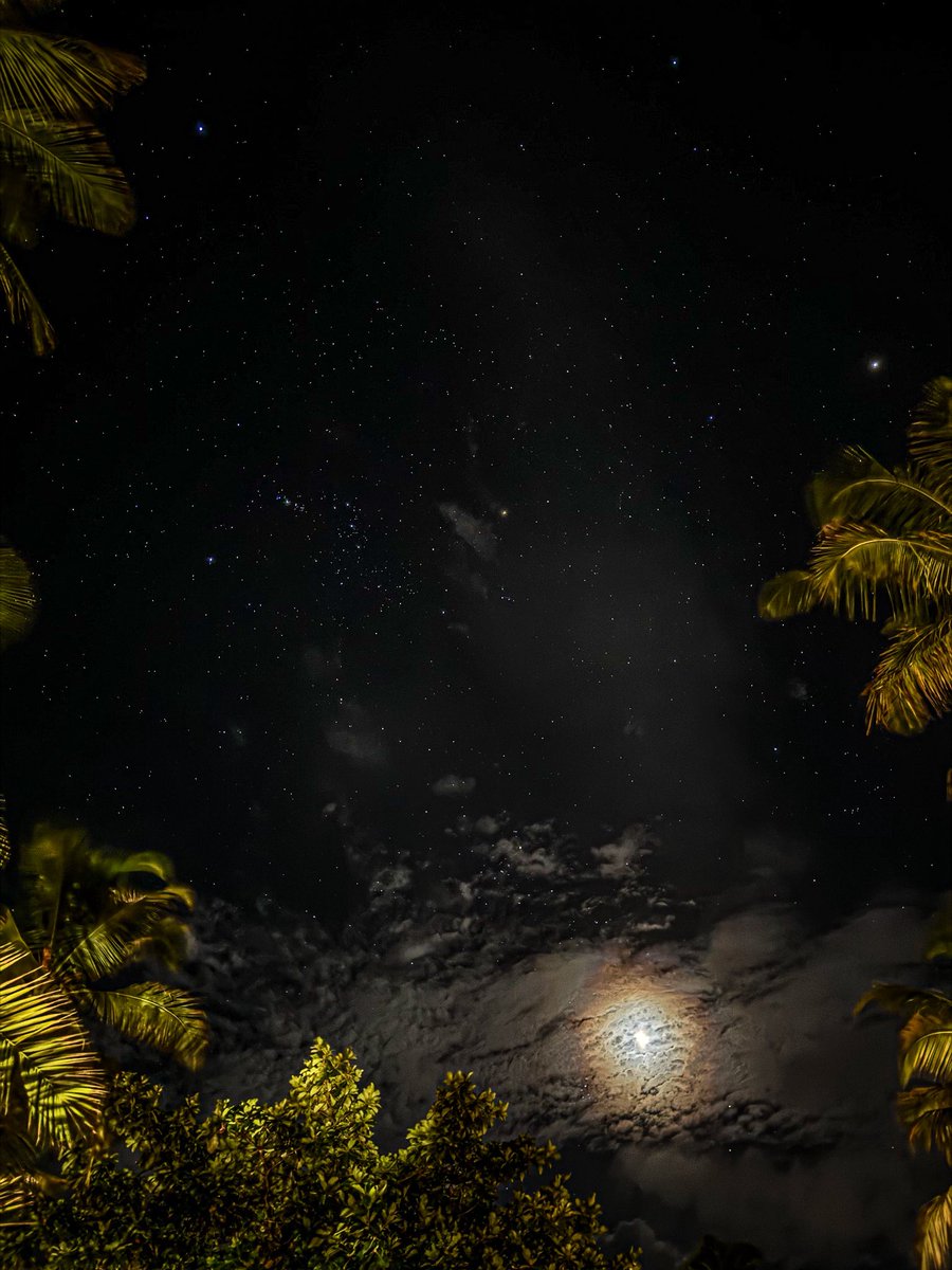 4rtoscope tweet media