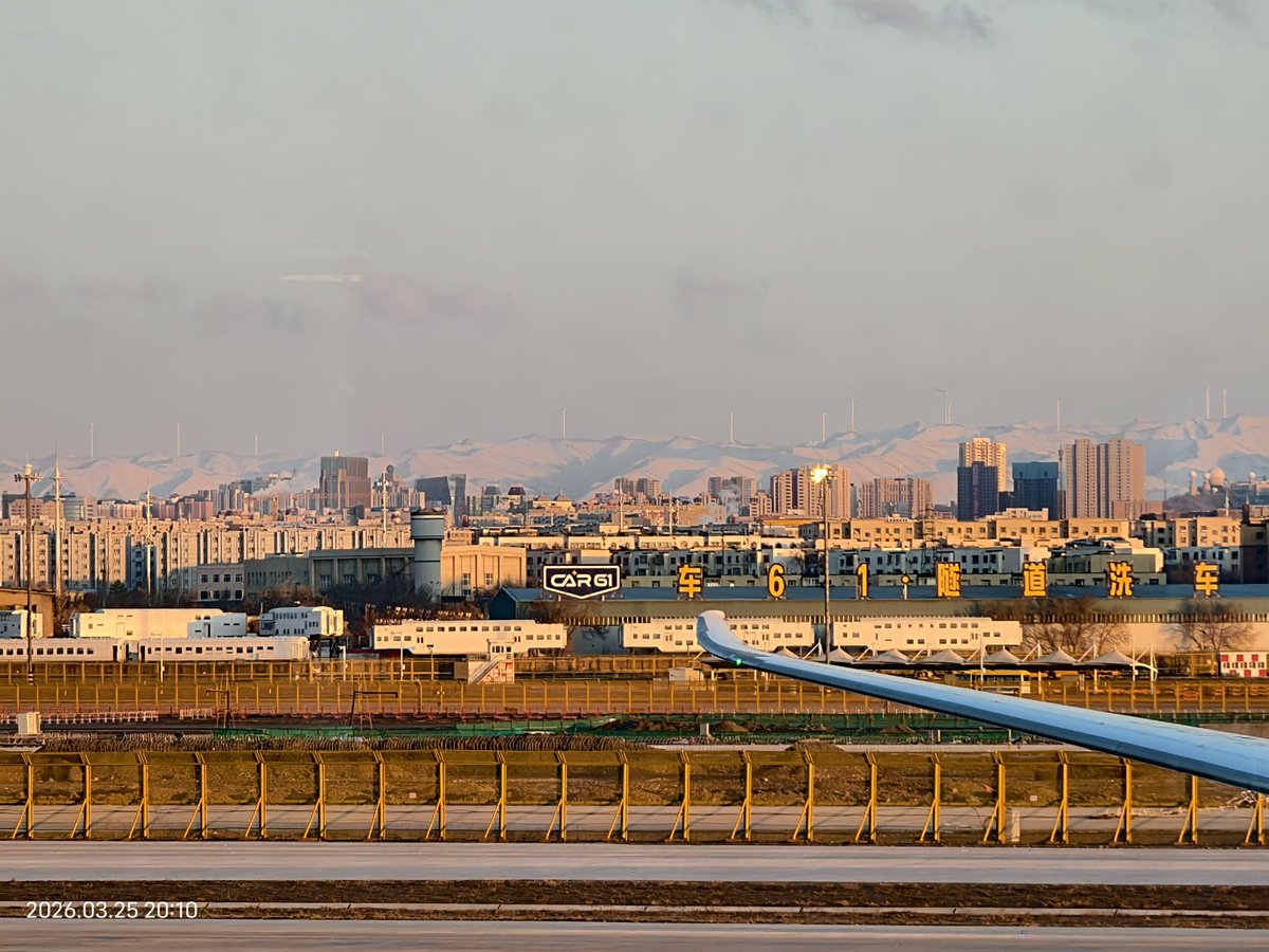 Frieda Li tweet media