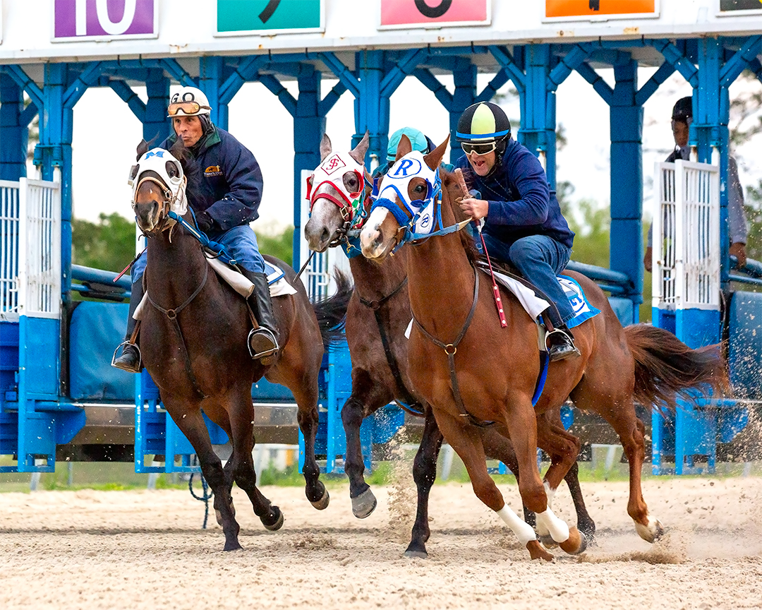 Delta Downs Racing tweet media