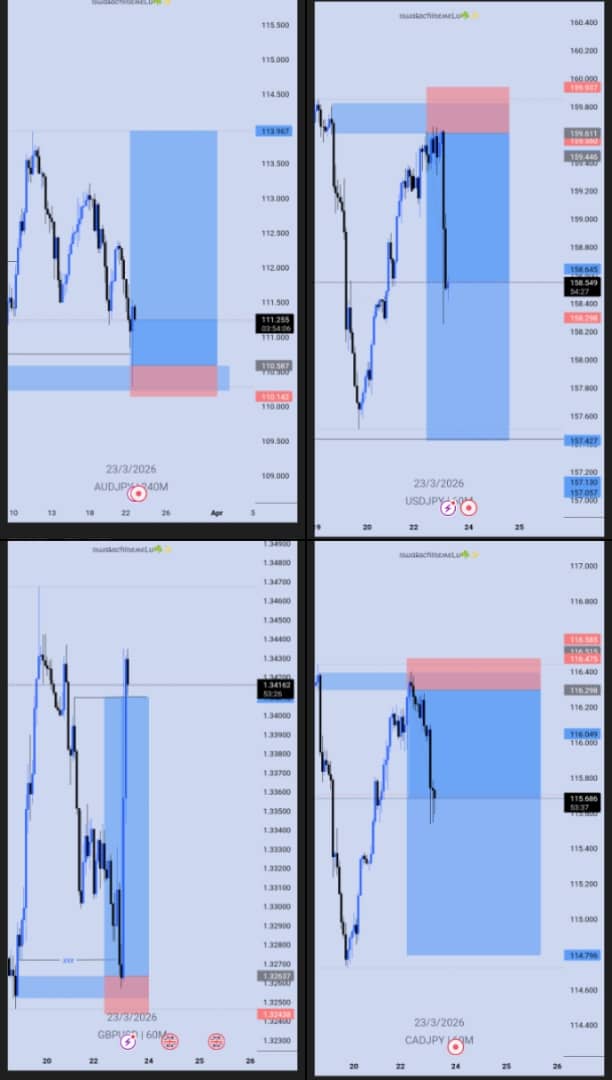 Ipheechukwu 🇳🇬📊 tweet media