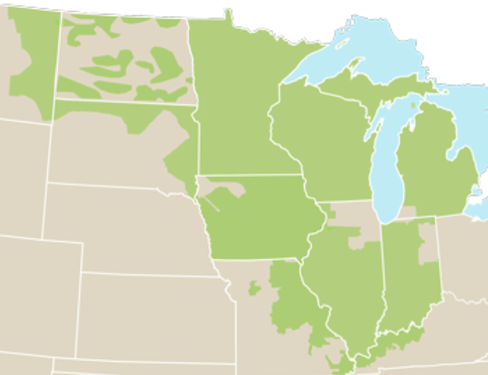 Ben Inskeep tweet media