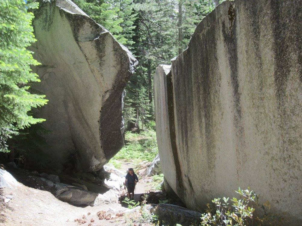 Lawrence Alexander (Baro) tweet media