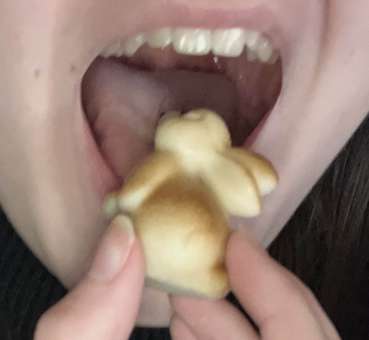 Sawyersheila100's tweet photo. The Easter bunny hopped right into my mouth to get swallowed! Thought I’d make a bunny vore post today! https://t.co/1COaHHVRNB