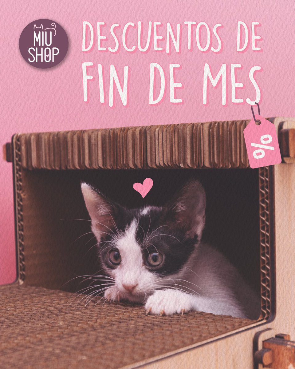 Adoptamiu tweet media