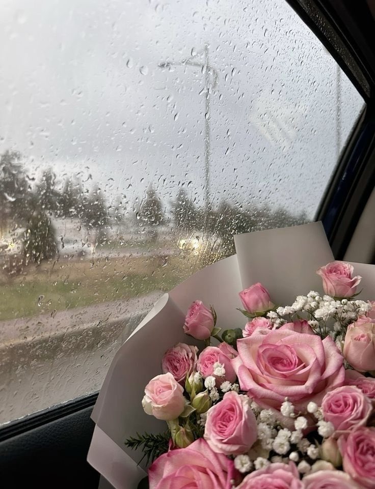 allssddf's tweet photo. ديرتي اليوم في عيني خيال
حضنها غيم وسوالفها مطر.

..نسمات باردة، وعشبٌ مبلل، ورائحة الأرض وهي تتنفس تحت الندى.. هنا يكمن نقاء الحياة في أبسط صورها. 🌧️ https://t.co/Zmf3a9npYa