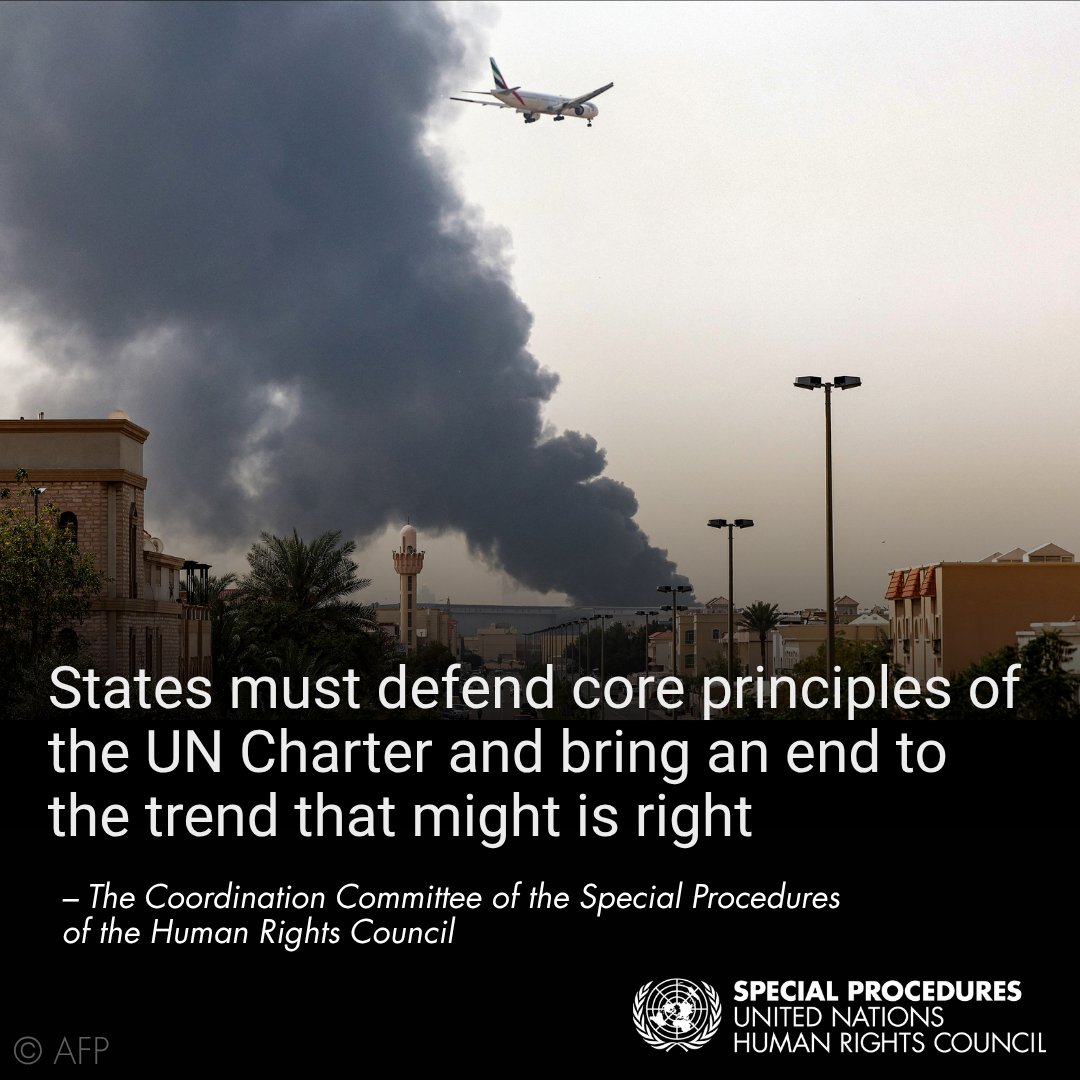 UN Special Procedures tweet media